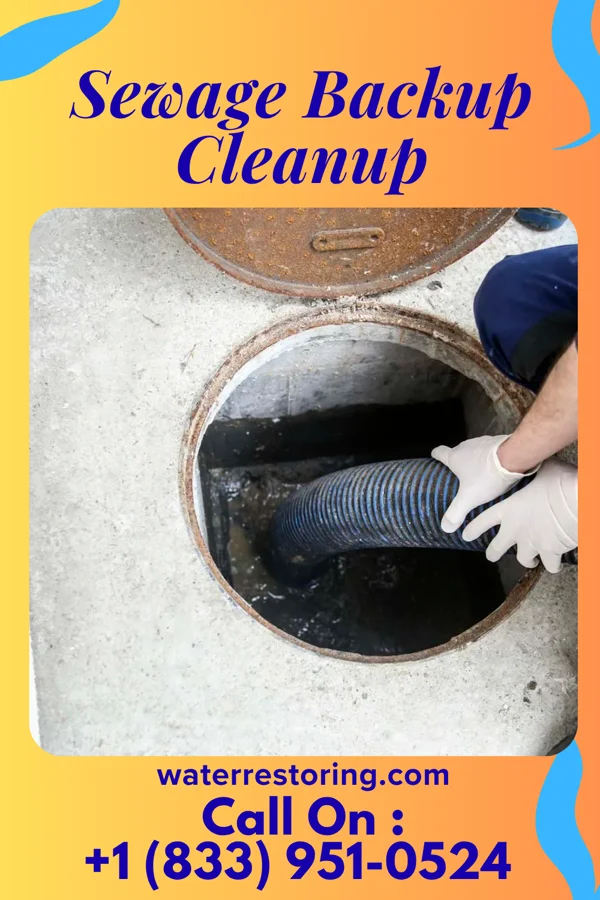Sewage Backup Cleanup in Wendell, MN