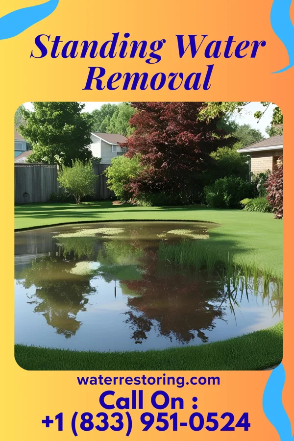 Standing Water Removal in Wendell, MN
